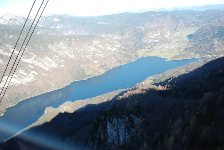 bohinj_vogel_19