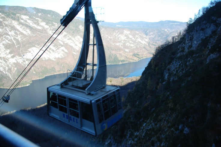 bohinj_vogel_20