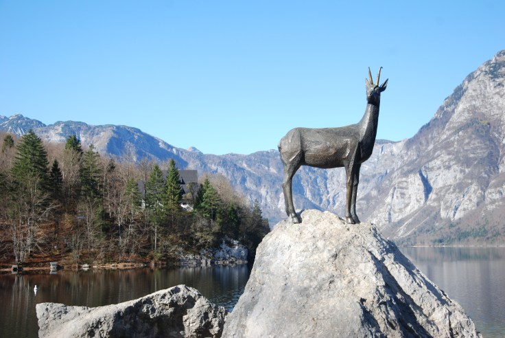 bohinj_zlatorog
